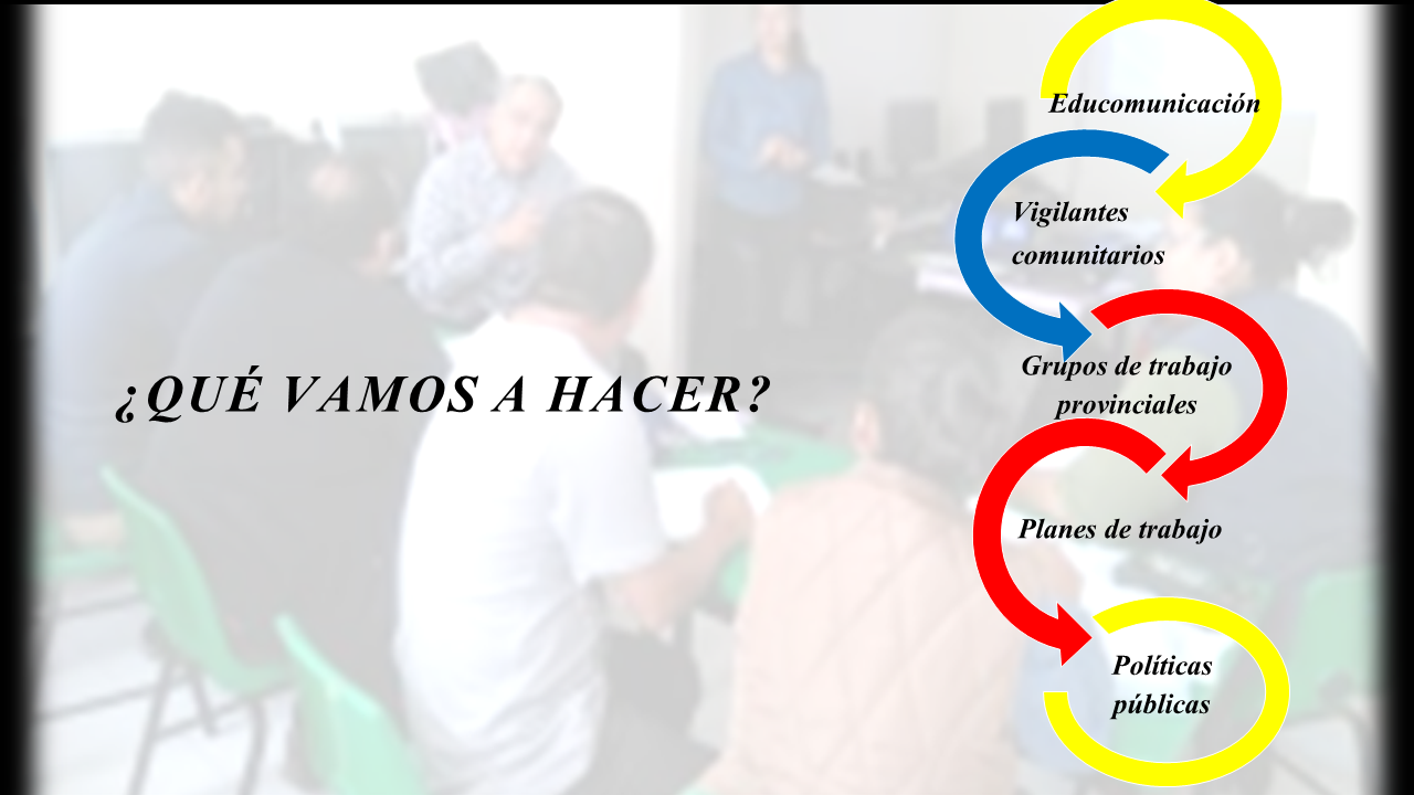 Diapositiva3